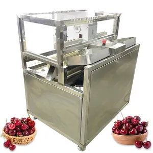 Automatic Cherry Seed Pitter Pitting Machine Cherry Core Removing Machine