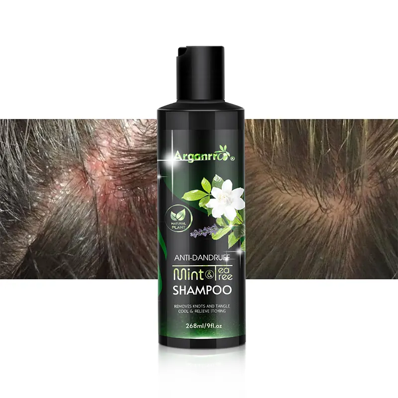 Olio di Tea Tree proteina di menta eliminare follicolite pulizia riparazione dei capelli Shampoo per la riparazione dei danni quotidiani