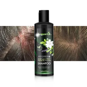 Aceite de árbol de té Proteína de menta eliminar foliculitis limpieza reparación del cabello champú para reparación de daños diarios