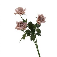 Bouquet de roses Morandi Floravital – Vente directe usine – Fleurs en soie douces au toucher, hydratantes, à bords roulés – Idéal pour mariages et décoration intérieure