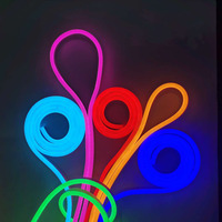 Bandes LED néon flexibles étanches IP66 SK6812 avec télécommande et connectivité USB pour décorations, dotées de puces Epistar