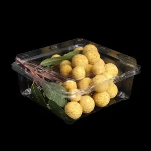 Plastic Clamshell Fruitverpakkingsdoos Met Scharnierend Deksel Huisdierenvoedselcontainer Met Ademgat Nemen Plastic Snacksalade-Display Weg