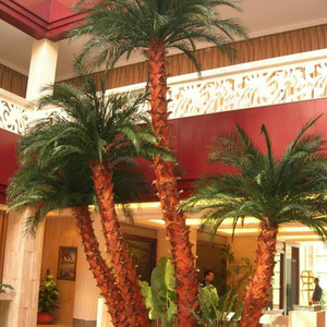 Nuevo tipo de <span class=keywords><strong>plaza</strong></span> paisaje decorativo y hojas de palma árbol con 3 troncos - Product Image 3