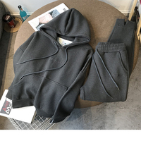 Nouveau épaissir sweats à capuche Plus velours ample pull à capuche Leggings pantalon ensemble costume sport loisirs costume femmes