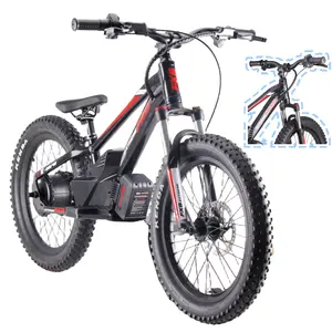 Bicicleta elétrica de equilíbrio para crianças de 5 a 12 anos, modelo novo de bicicleta elétrica de brinquedo elétrica de 20" 800 W, modelo de 16 polegadas para meninos de 5 a 12 anos