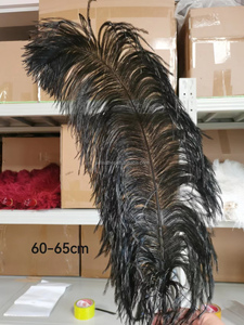Pour les décorations 60-65cm <span class=keywords><strong>plume</strong></span> d'autruche <span class=keywords><strong>noire</strong></span> en gros grandes plumes d'autruche naturelles moelleuses pour décor de carnaval de fête d'événement - Product Image 6