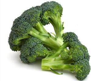 ブロッコリーエキススルフォラファン粉末大根種子エキス - Product Image 2