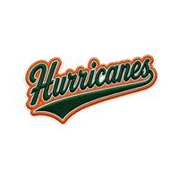 Patchs thermocollants personnalisés en toile écologique brodés style Miami Hurricanes pour maillots de basketball, badges de logo de sport universitaire, vente en gros
