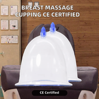 Ventouse de massage chinoise LW pour l'amélioration mammaire par aspiration sous vide, fonction musicale, bienfaits antirhumatismaux, en plastique, certifiée CE