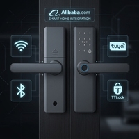 Poignée de porte en bois avec serrure sans clé, application Tuya TTLock, serrure intelligente biométrique à empreintes digitales, WiFi Cloud, alliage d'aluminium pour les États-Unis
