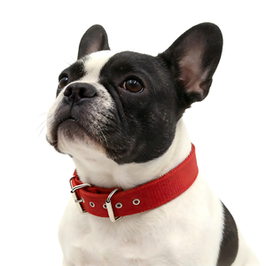 In Stock <b>Dog</b> Collar Soft Leather Lined Polypropylene Foam Solid Pattern with Ribbon Decoration Non-Choking Wholesale - Product Image 3
