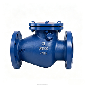 Válvula de Retención de Columpio de Hierro Fundido Gris DN40-DN400 con Brida y Sello Duro CI, Válvula Antirretorno para Tuberías de Calefacción de Agua - Product Image 2