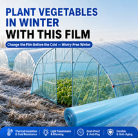 Film PO durable pour serre agricole, haute transparence, résistant aux UV, anti-goutte, isolation thermique pour tunnel