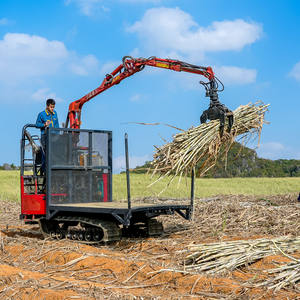 Transportador de Troncos Inteligente y Eficiente Energéticamente Xuvol, Transportador de Caña de Azúcar/Madera, Transporta 100 Toneladas de Caña de Azúcar en un Día - Product Image 5