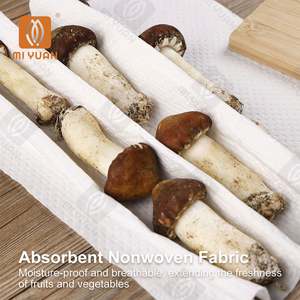 แผ่นซับน้ำคุณภาพสูงแบบใช้แล้วทิ้ง สำหรับซับความชื้นในผลไม้และผัก บรรจุภัณฑ์สำหรับรักษาความสดของอาหาร ส่งตรงจากโรงงาน - Product Image 4
