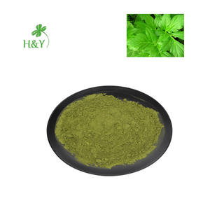 アシタバ葉エキス アシタバエキス粉末/当帰科エキス - Product Image 1