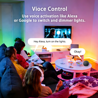 Bilihondim Matter Over Thread Dimmer RGB Digital Box Strip Controller Google Assistant 200W Contrôle sans fil Couleurs complètes