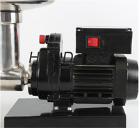 Automatische Jam Extractor Machine van RVS, continue fruitjampers