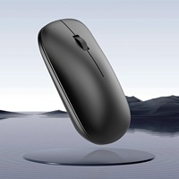 Ratón Ergonómico Inalámbrico 2.4G con Logotipo Personalizado OEM, Ratón Portátil para Oficina, Computadora Portátil, Ultra Delgado
