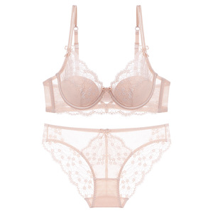 Hot Selling Breathable Floral Lace Bow Women's Intimates <b>Sexy</b> Ultra-thin Hipster Bra and Panty <b>Set</b> - Product Image 1