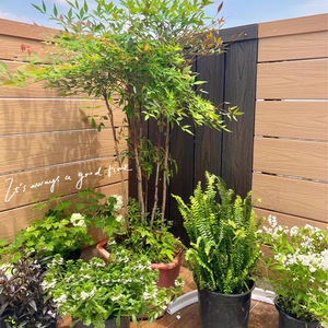 Ultracepat 6 Ft. X 6 kaki 2019/pagar taman kayu jati Peru plastik komposit timbul perawatan permukaan pemodelan 3D termasuk - Product Image 5