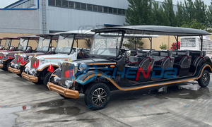 Nuevo Vehículo Eléctrico Clásico de Cuatro Ruedas para el Transporte en Hoteles, Áreas de Recepción, Edificios Inmobiliarios y como Transporte Aéreo Panorámico de 8-11 Pasajeros - Product Image 6