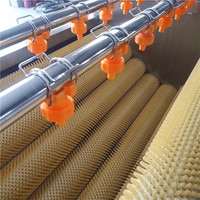 Wortel Groente Fruit Wassen Peeling Machine/Borstel Wassen Plassen Machine/Gember Peeling Machine