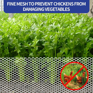 Vendita calda 12 Mm foro a traliccio maglia foro 1/8 <span class=keywords><strong>rete</strong></span> di plastica <span class=keywords><strong>bianca</strong></span> per la razza dalla fabbrica - Product Image 2