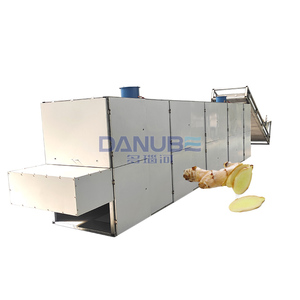 Machine de séchage professionnelle pour oignons et gingembre (humide et sec) - Prix compétitif - Product Image 1