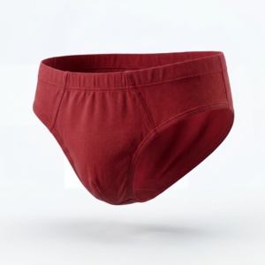 Caleçons pour hommes 100 % coton biologique, design classique traditionnel, coupe ajustée aux hanches, ultra confort, effet push-up, <span class=keywords><strong>sous</strong></span>-vêtements quotidiens - Product Image 1