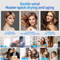 Sèche-cheveux de voyage à ions négatifs, faible bruit, léger, haute qualité, rose et blanc, soin ionique des cheveux, sèche-cheveux pour hôtel, moteur DC