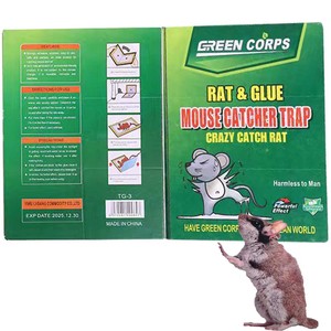 Usine directe de haute qualité prix de gros personnalisé souris <span class=keywords><strong>rat</strong></span> colle piège papier - Product Image 5