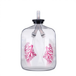 Simulatore di Respirazione Polmonare Modello S-56894, Attrezzatura per lo Scambio Gasogeno Polmonare per Scuole Medie - Product Image 1