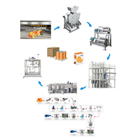 Kant-En-Klare Oplossing Citrusvruchten Oranje Citroen Ananas Passievruchtensap Maken Machine Productielijn
