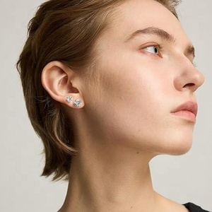 Bijoux personnalisés ZYO, nouveau design, boucles d'oreilles simples et colorées en CZ 3-8 mm, ensemble de boucles d'oreilles hypoallergéniques en acier inoxydable chirurgical 316L - Product Image 6