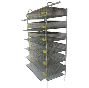 Great Farm High quality H type quail cages egg layer layer quail cages for sale for Australia