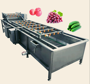 Multifunctional Air Bubble Washing Machine Coconut Fruit Washing Machine