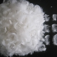 Tissu blanc délavé en plumes de canard, oreiller avec insertion de plumes pour hôtel, 24, lot de 1