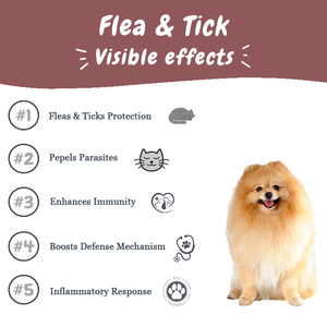 Suplemento Natural para Perros y Gatos con Etiqueta Privada OEM, Golosinas Masticables Suaves para la Alergia y la Picazón, Refuerzan la Salud del Sistema Inmunológico, Seguro y Rápido - Product Image 3