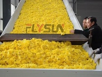 Séchoir à bande maillée automatique PLC personnalisé en usine pour la déshydratation des fleurs et des chrysanthèmes, haute efficacité, économie d'énergie