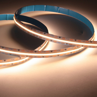 Bande lumineuse Led flexible haute densité 10mm 700led/m 3000K DC24V 2210 avec ul ce rohs 2 ans