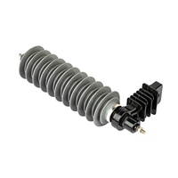 Parafoudre polymère CHHP 24 kV à boîtier métallique (certifié KEMA, norme IEC) avec garantie de 24 mois pour la protection contre la foudre et la mise à la terre