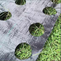 PP tissé barrière contre les mauvaises herbes PE couvre-sol maille tapis de mauvaises herbes rouleau anti-herbe désherbage tissu bloqueur paillis film