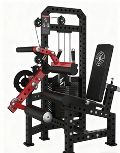 OEM Ticari Spor Salonu Kullanımı 2'si 1 Arada Bacak Egzersiz Aleti Çift Fonksiyonlu Pim Yüklü Oturmalı Bacak Ekstansiyonu ve Bacak Curl'u - Product Image 2