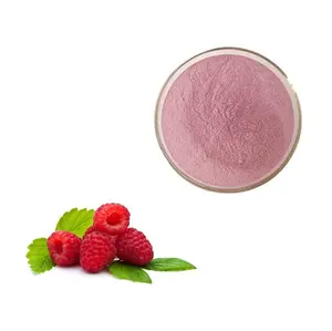 Pure Organic Red Raspberry Fruit Juice Concentrate Powder