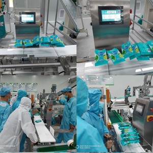 مقياس وزن صناعي أوتوماتيكي عالي السرعة من الفولاذ المقاوم للصدأ صندوق كامل مضمنة حلول تعبئة سائبة LCD Checkweigher OEM - Product Image 6