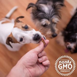 Supplément de D-Mannose infusé au poulet véritable <span class=keywords><strong>pour</strong></span> chiens efficace contre les infections de la vessie et des voies urinaires (IVU) - Product Image 4