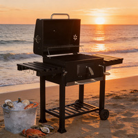 Barbecue chariot en acier inoxydable avec filtre à fumée pour le camping et l'extérieur