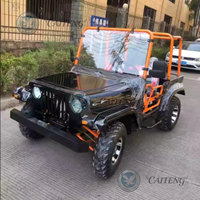 Caiteng Buggy 4x4 Automatique 1500cc 350cc 300cc 250cc Essence Électrique Mini Jeep Tricycle Adulte Châssis de Dune Buggy