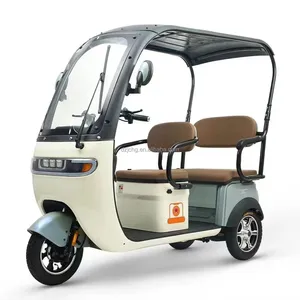 Q5 Factory Wholesale Customized New Energy Cargo Electric Tricycle 3 Wheel Cargo Motorcycle